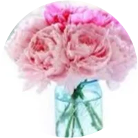 testimonial profile photo